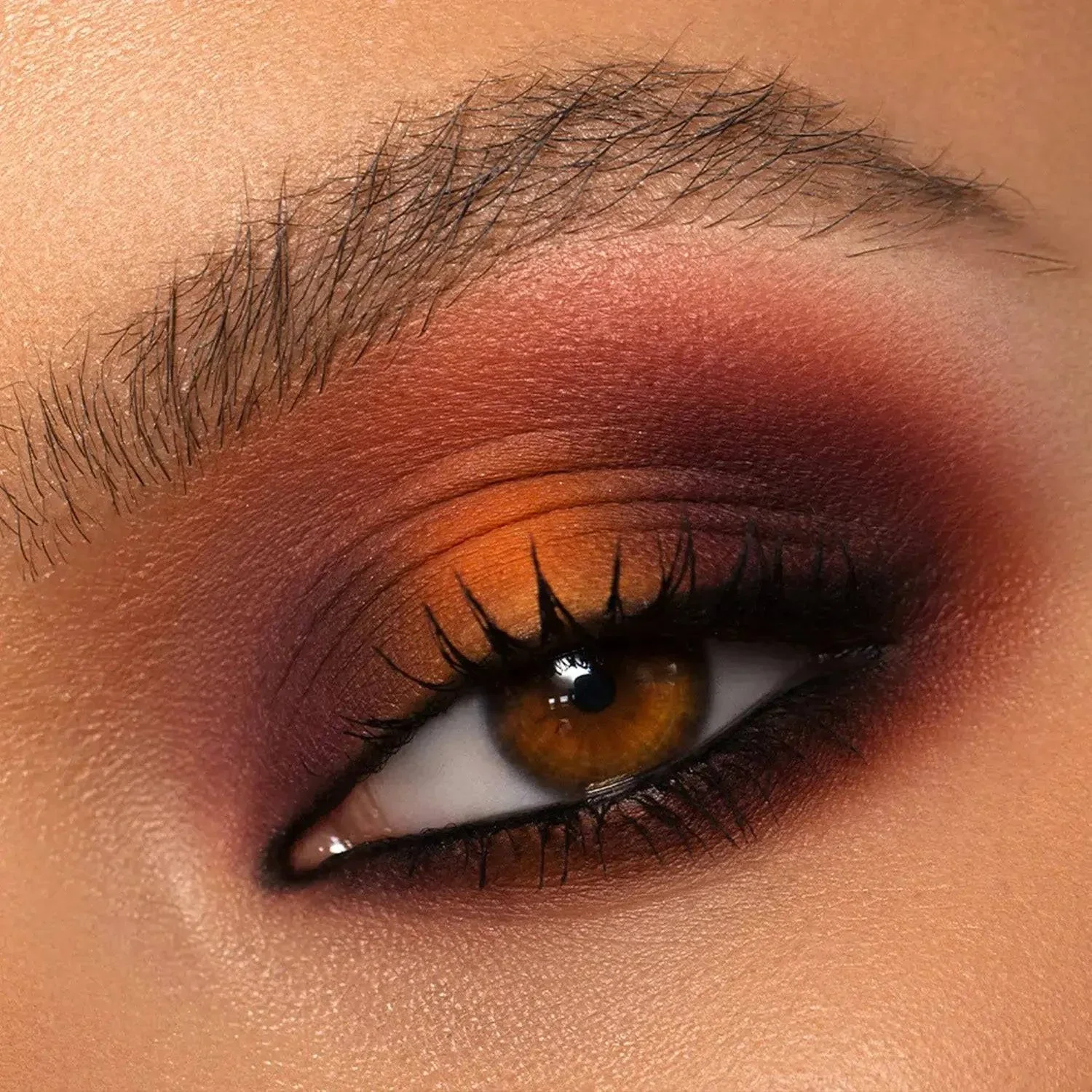 SUNRISE EYESHADOW PALETTE - פלטת צלליות לעיניים סאנרייז - Image 8