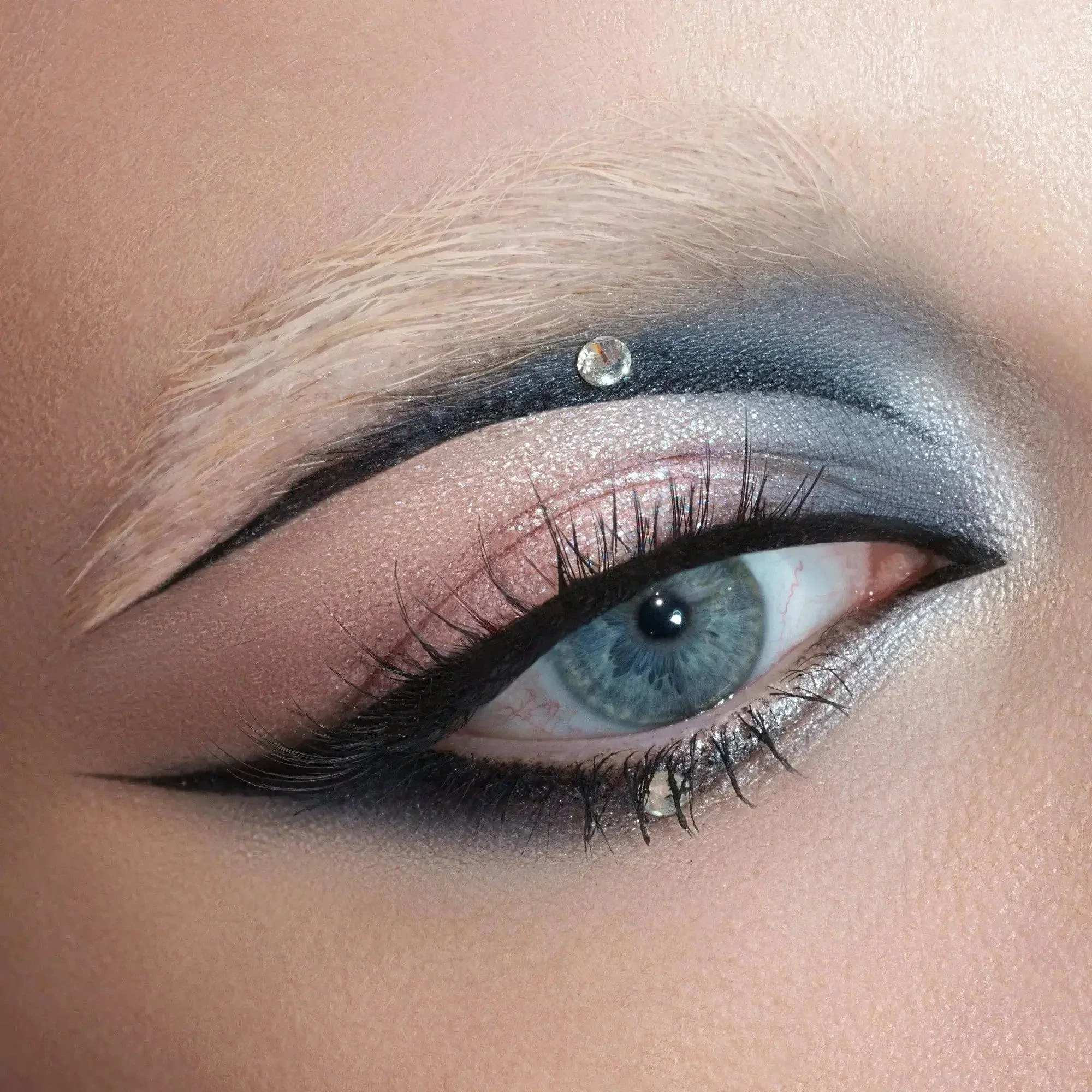 XENON EYESHADOW PALETTE - פ×××Ŗ צ×××××Ŗ ××¢×× ××× ×§×”× ×× - Image 10